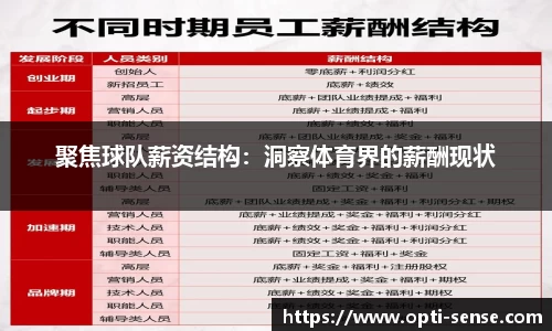 聚焦球队薪资结构：洞察体育界的薪酬现状